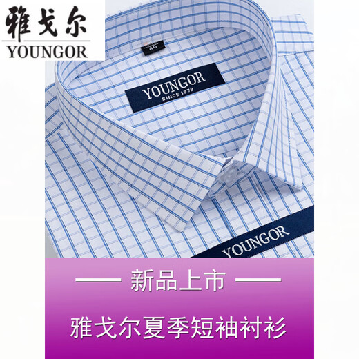雅戈尔衬衫男短袖夏季2025薄款中年男装寸衫职业休闲衬衣透气 短袖DX6630 38 建议【70-95斤】