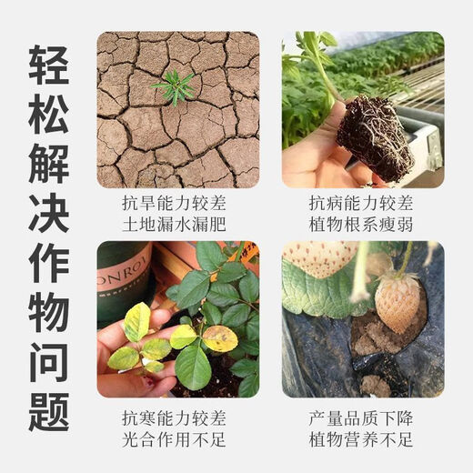 Удобрение Anxiaoran с микробными бактериями способствует прорастанию рассады, укреплению корней, предотвращает болезни, увеличивает урожайность, подлинные сельскохозяйственные угодья, выращиваемые из сахарного тростника и риса, 2 бутылки по 120 мл на акр.