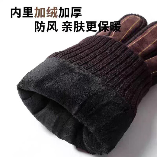 Colorful genuine leather gloves for men in autumn and winter, warm, windproof, velvet, thickened and coldproof, outdoor riding electric motorcycle cotton gloves