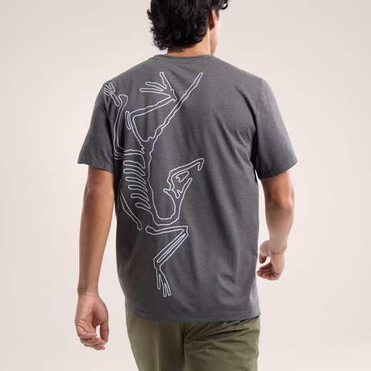 
Archaeopteryx (ARC'TERYX)/Arcteryx Men's Cormac ARC'BIRD Quick-drying Short-sleeved T-shirt X9721 Sequoia Heather/Solari XL
