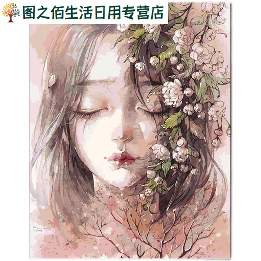 diy数字油画卧室古风动漫手工填色画油彩装饰画 半面妆萧 X11976 订好内框 高清淡彩画板+颜料+ 40cm*50cm