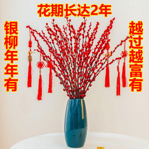 Red Lucky Silver Willow, Dried Flowers, Real Flowers, Fresh Branches, Cold-resistant New Year's Eve Flowers, Hydroponic Flowers, Indoor Decorative Flowers, 60cm, 30 Count, Free Lanterns