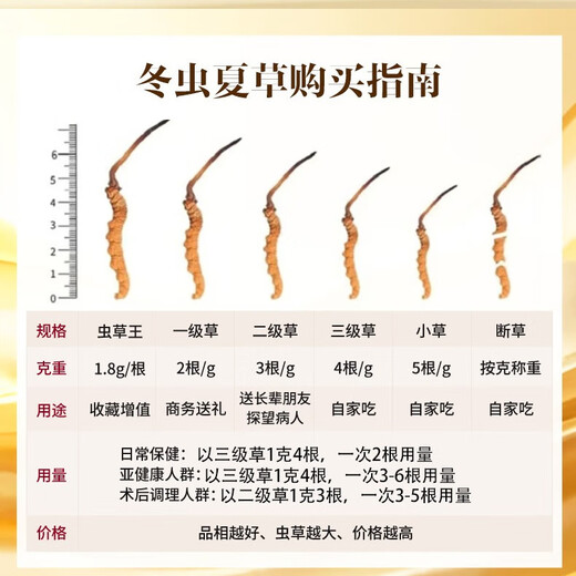 观采归冬虫夏草高端礼盒补品送礼长辈 新干虫草高档滋补营养品送老人 3根/g 50克 共150根