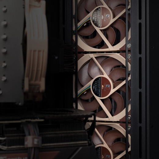 Noctua NF-A12x25 G2 PWM Sx2-PP LS-PWM zweite Generation A12 Cat-Lüfter 12025 12CM LCP Flüssigkristall-Polymer-Gehäuselüfter intelligente Temperaturregelung Noctua A12x25 G2 PWM Sx2-PP