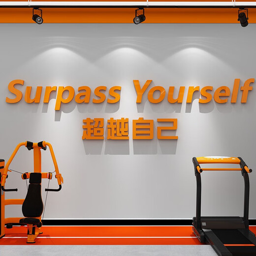 网红打卡健身房墙面装饰运动文化励志标语海报氛围布置形象墙贴画 17152自己-白色 2mm亚克力 中