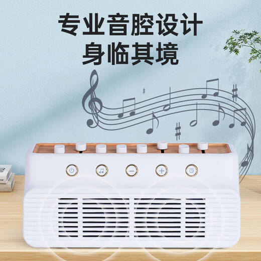 HANASS white noise, natural scene sound, wireless bedside sleeping companion, decompression, bedside sleeping companion, birthday gift for men and women