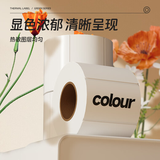 晨光（M&G）绿晨光100*70mm*690张*12卷三防热敏标签打印纸 快递面单不干胶打印纸条码纸