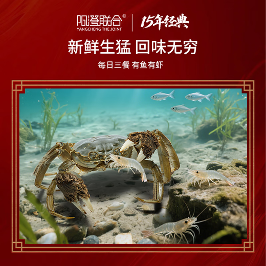 【礼券】阳澄联合大闸蟹礼券螃蟹券蟹卡礼盒礼品卡节日送礼提货券 9855型公6.0两 母5.0两 5对10只