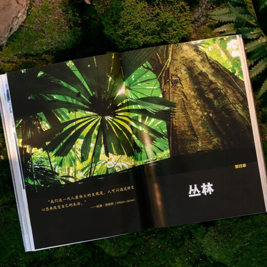 Wilderness Survival Bell Wilderness Survival Handbuch