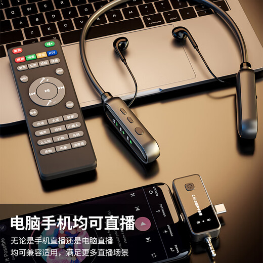 汇越2024新款真无线直播声卡蓝牙耳机一体机直播带货聊天顺口溜带货PK苹果安卓通用唱歌K歌一拖二耳机 691一拖一黑色（耳机+接收器+遥控器）全套