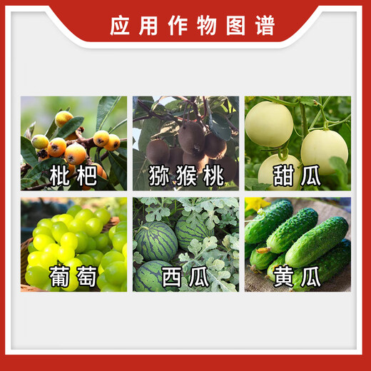 Haomeide 0.1% chlorfenuron grape yield increase and regulate growth Sichuan plant growth regulator 5 boxes + 50 bags of gibberellin