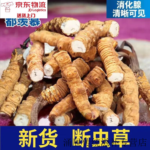 Peking Tongrentang [Schwarzer Freitag] Authentische Cordyceps sinensis großes Grasfleisch mehr Gras weniger Cordyceps nahrhafte Gesundheit 30 Gramm gebrochener Gras [10 Gramm frei