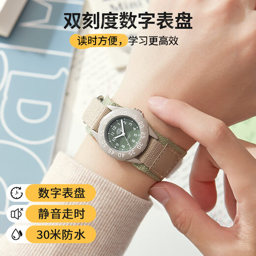 Dickies Girls Watch Students Junior High School Students Mute Children's Quartz Watch Birthday Gift CL-694 Green