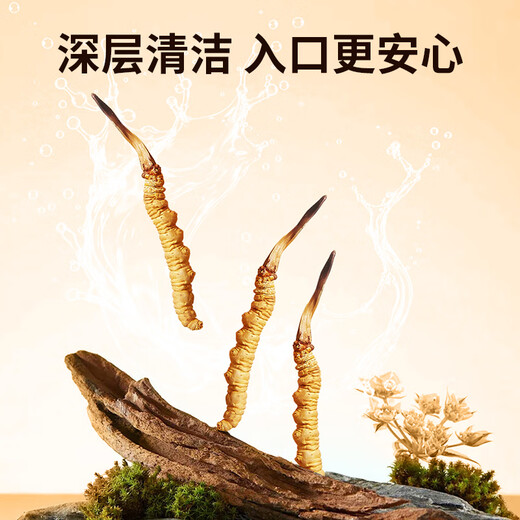 同芙 冬虫夏草4根/g 40根礼盒装 滋补营养补品送长辈礼物