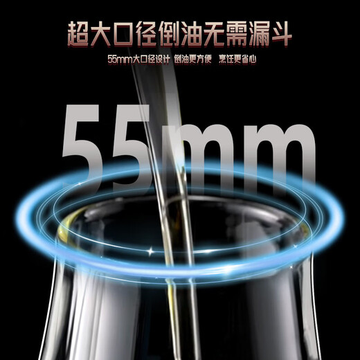 双立人（ZWILLING）德国品质玻璃油壶不挂油名厨房家用油瓶专用装酱油醋食品级不锈钢 【两只装】耐热防爆油壶*2/ 806