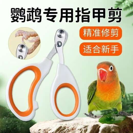 Nail scissors for parrots, nail sharpener for birds, claw sharpener for birds, nail clippers for cats, general purpose for beginners, buy 1 get 1 free - special nail scissors for parrots