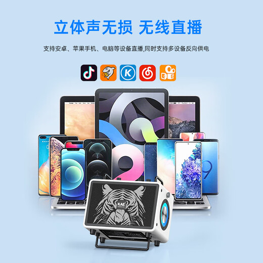 KAEM3 audio British professional electric blowpipe saxophone singing Bluetooth speaker musical instrument live broadcast portable outdoor playing and singing M3 black (portable 120W rated)