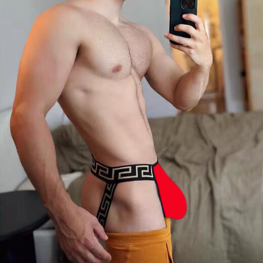Sexy Double Thong Hip Men's Hip Expuesta Silk Rear Winsta baja T-Tousers Gay Gay Standy Style M Code 90-115Jin [Jin equivale a 0.5 kg] Y61 Doble tanga M90-115Jin [Jin equivale a 0.5 kg]