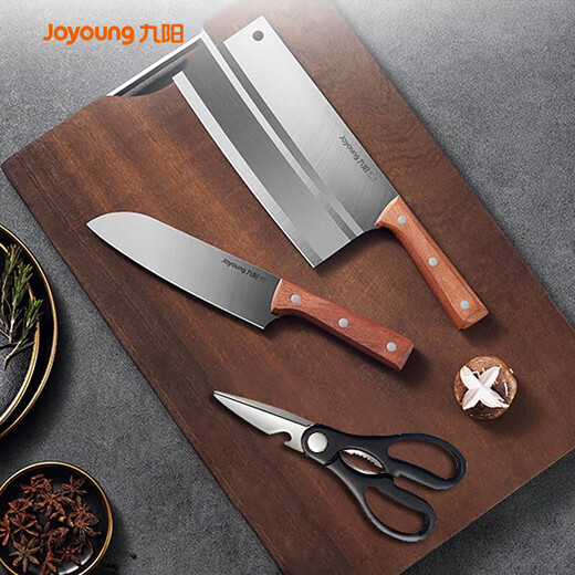 九阳（Joyoung）厨房刀具套装切菜刀家用不锈钢菜刀剪刀水果刀组合三件套TD170
