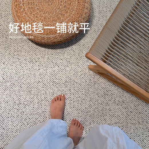 Saibos Pearl Island wool carpet living room high-end light luxury plain simple Italian style 2 3M