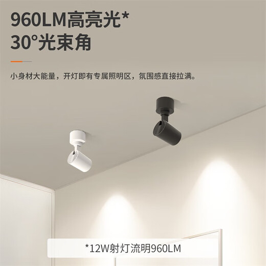 NVC surface-mounted spotlight LED shop commercial household ceiling-mounted track light ceiling light picture wall washing black 12W warm white