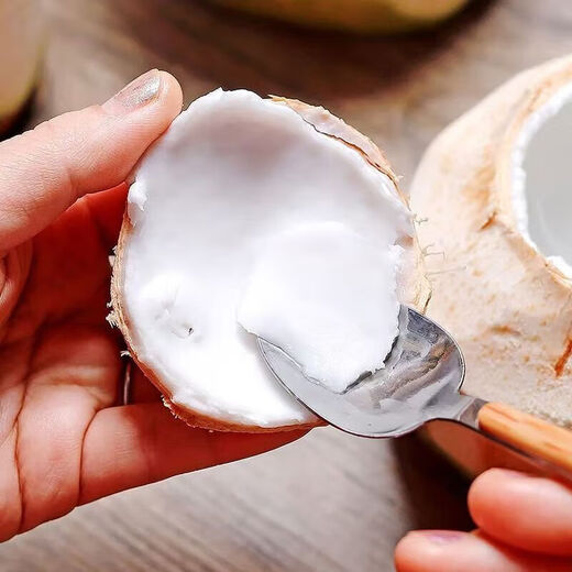 Thailand imported perfume coconut green milk fragrance fresh fruit coconut extra large fruit seasonal fruit 2 pieces/(single fruit 900-1200g)