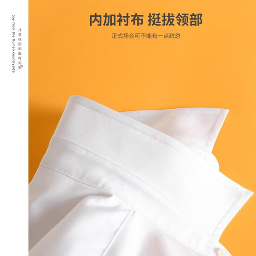 Children's short-sleeved white shirt spring and summer boys and girls no-iron performance primary and secondary school uniforms white shirt tops white 160