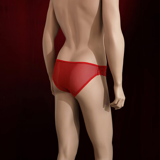 Men's crotchless lace underwear, sexy pure desire, hot special briefs shorts, thong, men's inner see-through, black, one size