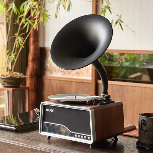 Duhuanshi Vinyl Record Player Professional HiFi Retro Phonograph Film Player Bluetooth Speaker Living Room Audio Matte Oak Color Free Genuine Vinyl Record + Music U Disk