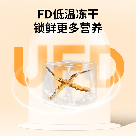 同芙 冬虫夏草4根/g 40根礼盒装 滋补营养补品送长辈礼物
