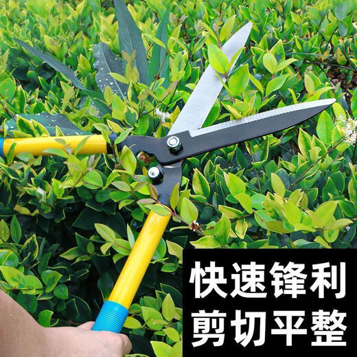 Liyebo Liye gardening pruning shears, greening lawns, hedge shears, large flower shears, garden pruning tools, pruning branch scissors, upgraded thickening, thickening and super hard (1 pair)