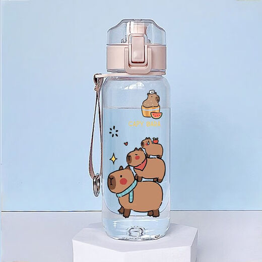 卡皮巴拉水杯男女夏季塑料杯便携运动户外随行杯耐热防摔杯子学生 R3271水豚-塑料直饮杯530ML