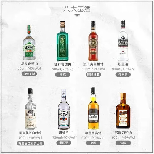 Aobeck Tequila Diy Cocktail Set Whisky Wodka Brandy Gin Rum Wein Kombination acht Basiswein 8 Flaschen
