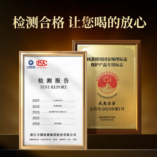 武夷朴肉桂武夷山岩茶乌龙茶茶叶礼盒装特级204g新茶高端节日礼品送长辈