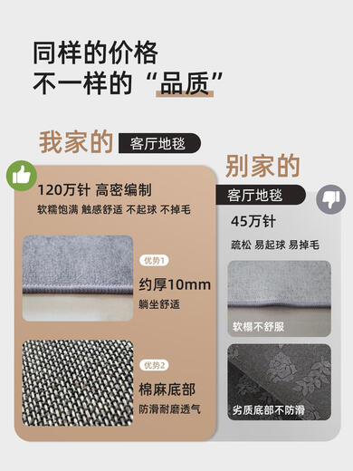 地毯客厅2025新轻奢高级感房间卧室免洗可擦家用沙发茶几地垫大 16779 300*400cm整块定制联系客服享优