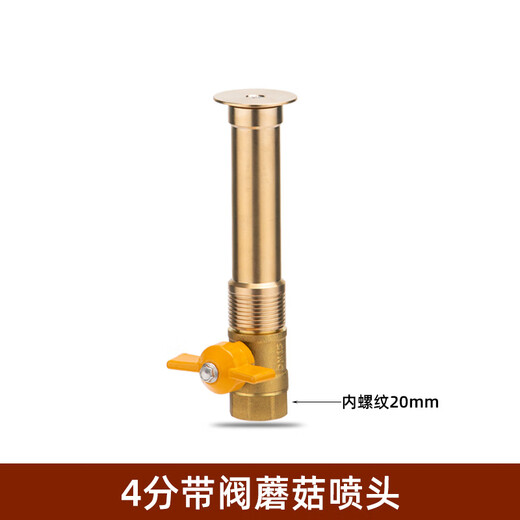 Jingyi Jingrun all-copper mushroom fountain nozzle hemispheric landscape spring nozzle fish pond stainless steel small rockery 4 points inner wire 6 minutes outer wire copper mushroom nozzle