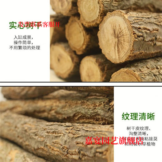 Champagne trunk underwater forest ornaments, pure natural water and land tank, rainforest tank, landscaping, climbing pet turtle terrace, 1-2 cm in diameter and 20 cm long.