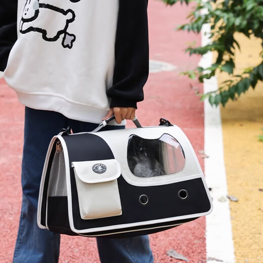 Sajiao Sac à dos pour chat Sac pour chat Sortie Capsule spatiale pour chat Pet Chat Chien Sortie Sac portable Sac à dos Sac d'école pour chat 12 trous pliable Vert frais (15Jin Jin est égal à 0,5 kg de chat intérieur)