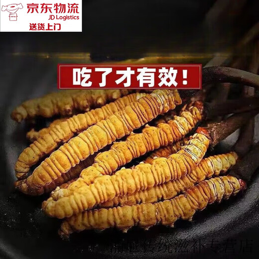 Peking Tongrentang [Schwarzer Freitag] Cordyceps sinensis Cordyceps Trockenwaren zu Beginn der ersten Periode des Weins und machen Suppe. Wählte zwei Cordyceps ein Gramm aus [20 Taschen Stücke
