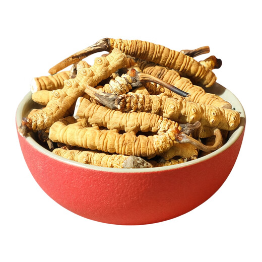 Cordyceps sinensis selection of Cordyceps sinensis gift box tonic for Cordyceps sinensis pure meat festival wine nutritional products 10 grams of Cordyceps sinensis [11 grams in total]