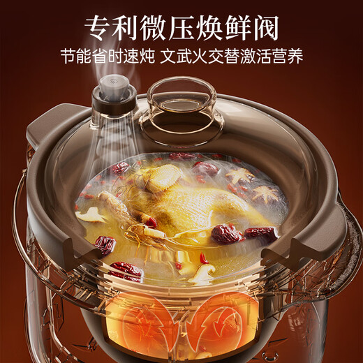 Bear electric stew pot, electric stew pot, electric casserole, soup pot, stew pot, purple casserole, bird's nest stew pot, porridge, baby food supplement pot, electric cooker 3L DDG-K30H1