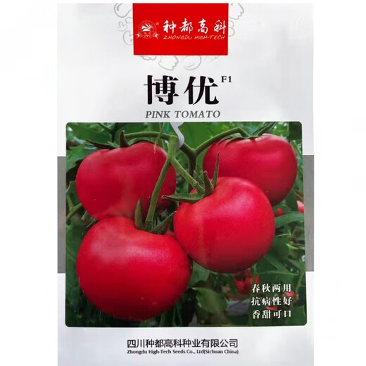 Jinshi Pink Jade Tomato Seed Boyu Tomato Seed Anti-Virus Pink Cold-resistant Large Fruit High Yield Taste Golden Red Rookie Original 5g