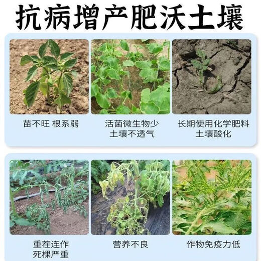 Soil-borne disease bactericide, agricultural soil fungicide, anti-repeat root rot, dead seedlings and root rot, 3 packs 500g*3
