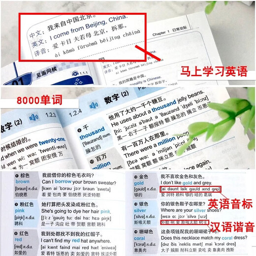 认准正版 零基础英语口语马上说正版零基础英语单词马上说口袋书英语入门自学零基础速成学习日常口语会中文就会说英文书籍 单本英语口语马上说