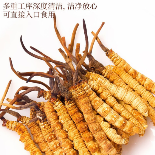 冬虫夏草干货正宗冬虫夏草礼盒装虫草王雄风道滋补养生冬虫夏草 两根一克10根【盒装】