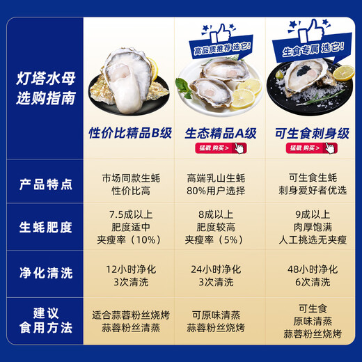 Bassling Fresh Rushan Oysters 4XL Net Weight 10Jin Jin is equal to 0.5kg 20-26 pieces Straight from the source
