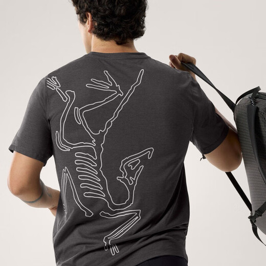 始祖鸟（ARC'TERYX）加拿大代购*始祖鸟Cormac Arc'bird  logo男背后大鸟标 短袖X9721 音速紫X9721 L