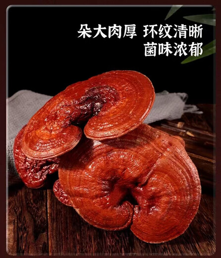 长白山药房品质紫灵芝野生中药材500g整朵赤灵芝片孢子粉泡酒礼盒 赤灵芝整株500g（长白山成熟体大灵芝）