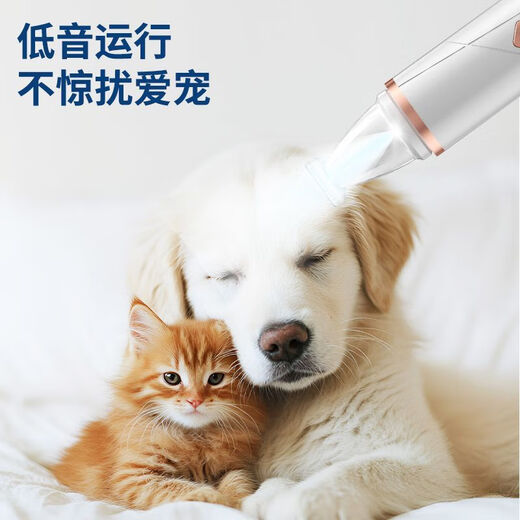 Cat and dog foot shaving and nail polishing tool, foot clipper for shaving eye circumference and local trimming and polishing, two-in-one, starlight silver, spare blade + USB cable