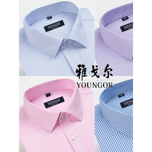 Magasin phare de Yager Magasin officiel à manches longues pour hommes 2025 Nouveau coton pur en fer gratuit de fonds d'âge moyen-delins décontractés de vêtements professionnels haut de gamme 6623 38 (recommandés 100-115jin [Jin est égal à 0,5 kg]))